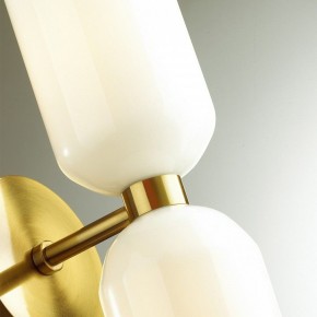 Бра Odeon Light Orinoco 4798/2W в Александровском - alexsandrovskoe.mebel24.online | фото 5