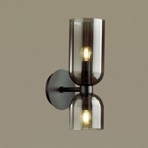 Бра Odeon Light Orinoco 4804/2W в Александровском - alexsandrovskoe.mebel24.online | фото 2