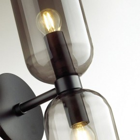 Бра Odeon Light Orinoco 4804/2W в Александровском - alexsandrovskoe.mebel24.online | фото 4