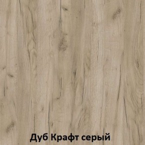 ДАРЬЯ Гостиная (Крафт серый/Крафт белый) в Александровском - alexsandrovskoe.mebel24.online | фото 2