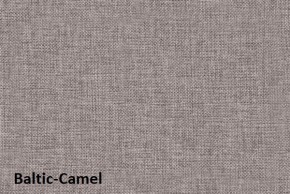 Диван-кровать Комфорт ЛАЙТ без подлокотников (2 подушки) BALTIC CAMEL в Александровском - alexsandrovskoe.mebel24.online | фото 4