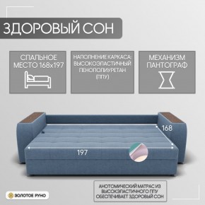 Диван Сенатор-1 (ППУ) в Александровском - alexsandrovskoe.mebel24.online | фото 3
