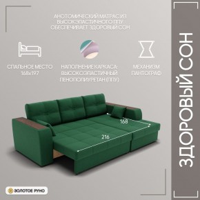Диван Сенатор-3 (ППУ) в Александровском - alexsandrovskoe.mebel24.online | фото 5