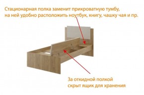 Дуглас (подростковая) М14 Кровать в Александровском - alexsandrovskoe.mebel24.online | фото 6