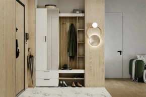 Гарнитур для прихожей Торонто в Александровском - alexsandrovskoe.mebel24.online | фото 5
