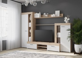 Гостиная Дельта (Сонома/Белый) в Александровском - alexsandrovskoe.mebel24.online | фото 3