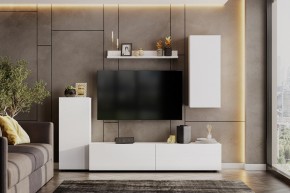 Гостиная МГС 10 (Белый текстурный) в Александровском - alexsandrovskoe.mebel24.online | фото 1