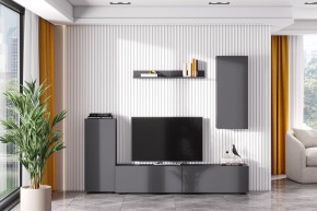 Гостиная МГС 10 (Графит) в Александровском - alexsandrovskoe.mebel24.online | фото 1