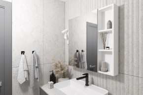 Кларити Шкаф зеркальный 16.312.03 в Александровском - alexsandrovskoe.mebel24.online | фото