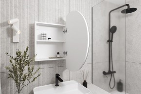 Кларити Шкаф зеркальный 16.312.04 в Александровском - alexsandrovskoe.mebel24.online | фото 2