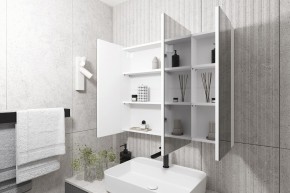 Кларити Шкаф зеркальный 16.312.05 в Александровском - alexsandrovskoe.mebel24.online | фото 2