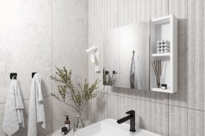 Кларити Шкаф зеркальный 16.312.07 в Александровском - alexsandrovskoe.mebel24.online | фото