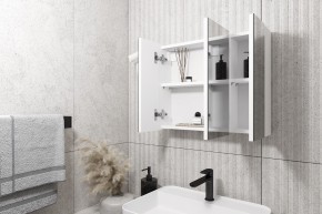 Кларити Шкаф зеркальный 16.312.08 в Александровском - alexsandrovskoe.mebel24.online | фото 2