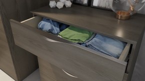 Комод Либерти ТД-297.04.02 в Александровском - alexsandrovskoe.mebel24.online | фото 4