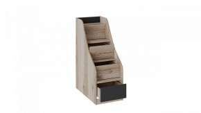 Кровать двухъярусная Окланд СМ-324.11.001 в Александровском - alexsandrovskoe.mebel24.online | фото 3