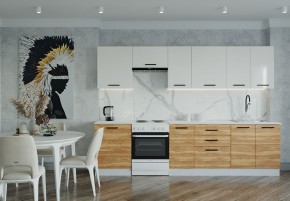Кухонный гарнитур Лада 3000 (Стол. 38мм) в Александровском - alexsandrovskoe.mebel24.online | фото