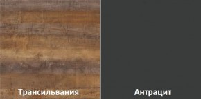 Кухонный гарнитур угловой Трансильвания 2400x1600 мм (Стол. 38 мм) в Александровском - alexsandrovskoe.mebel24.online | фото 3