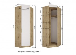 ЛАВИС Детская (модульная) белый/роза-белый софт/ручка золотая в Александровском - alexsandrovskoe.mebel24.online | фото 11