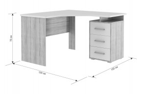 ЛАЙТ К4 Компьютерный стол в Александровском - alexsandrovskoe.mebel24.online | фото 6
