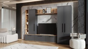 ЛЕВАНТЕ Гостиная в Александровском - alexsandrovskoe.mebel24.online | фото