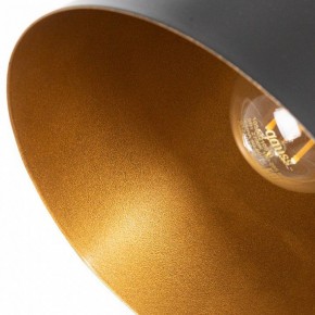 Люстра на штанге Arte Lamp Thomas A7032PL-6BK в Александровском - alexsandrovskoe.mebel24.online | фото 7
