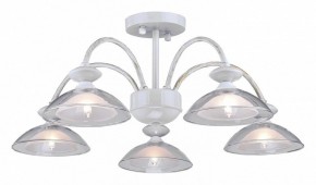 Люстра на штанге Arti Lampadari Noventa Noventa E 1.1.5 W в Александровском - alexsandrovskoe.mebel24.online | фото