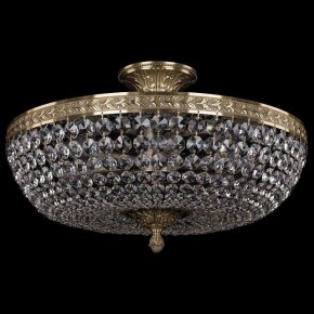 Люстра на штанге Bohemia Ivele Crystal 1911 19111/45IV Pa в Александровском - alexsandrovskoe.mebel24.online | фото 2