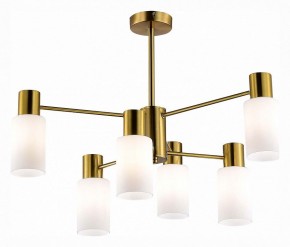 Люстра на штанге EVOLUCE Gessi SLE1139-302-06 в Александровском - alexsandrovskoe.mebel24.online | фото 2