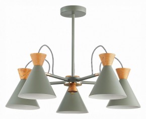 Люстра на штанге EVOLUCE Modica SLE125112-05 в Александровском - alexsandrovskoe.mebel24.online | фото 1
