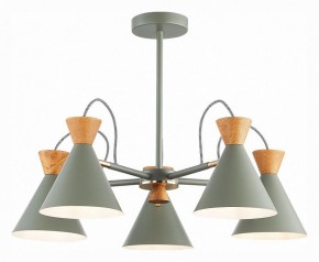 Люстра на штанге EVOLUCE Modica SLE125112-05 в Александровском - alexsandrovskoe.mebel24.online | фото 2