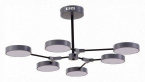 Люстра на штанге EVOLUCE Monta SLE6003-702-06 в Александровском - alexsandrovskoe.mebel24.online | фото 1