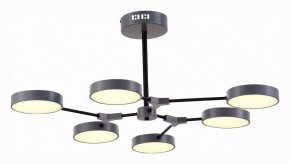 Люстра на штанге EVOLUCE Monta SLE6003-702-06 в Александровском - alexsandrovskoe.mebel24.online | фото 2