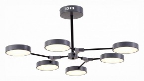 Люстра на штанге EVOLUCE Monta SLE6003-702-06 в Александровском - alexsandrovskoe.mebel24.online | фото 4