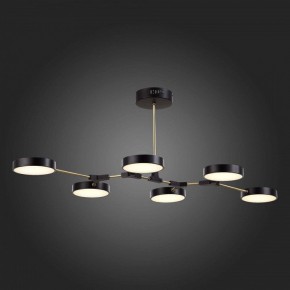 Люстра на штанге EVOLUCE Monta SLE6004-402-06 в Александровском - alexsandrovskoe.mebel24.online | фото 6