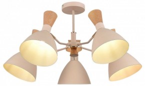 Люстра на штанге EVOLUCE VISTA SLE1256-502-05 в Александровском - alexsandrovskoe.mebel24.online | фото 6