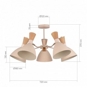 Люстра на штанге EVOLUCE VISTA SLE1256-502-05 в Александровском - alexsandrovskoe.mebel24.online | фото 8