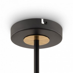 Люстра на штанге Freya Hats FR5370CL-04B в Александровском - alexsandrovskoe.mebel24.online | фото 6