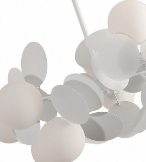 Люстра на штанге Kink Light Матиас 074160-10,01(01) в Александровском - alexsandrovskoe.mebel24.online | фото 2