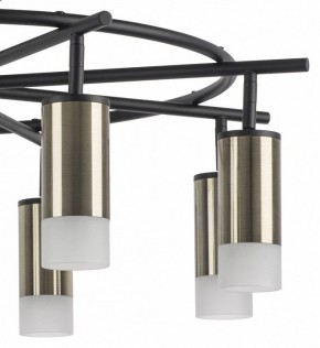 Люстра на штанге Lightstar Rullo LR7183181 в Александровском - alexsandrovskoe.mebel24.online | фото 4