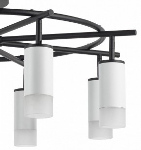 Люстра на штанге Lightstar Rullo LR7183681 в Александровском - alexsandrovskoe.mebel24.online | фото 4