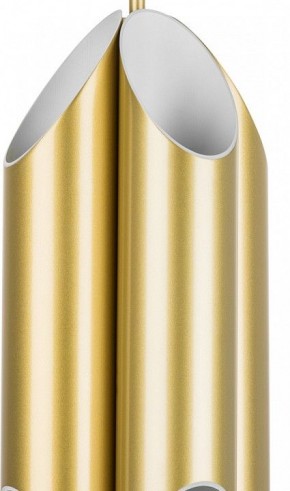 Люстра на штанге Lightstar Siena 720082 в Александровском - alexsandrovskoe.mebel24.online | фото 3