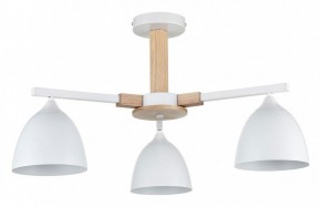 Люстра на штанге Lumion Colange 8095/3C в Александровском - alexsandrovskoe.mebel24.online | фото