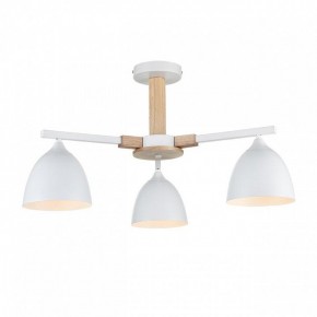 Люстра на штанге Lumion Colange 8095/3C в Александровском - alexsandrovskoe.mebel24.online | фото 2