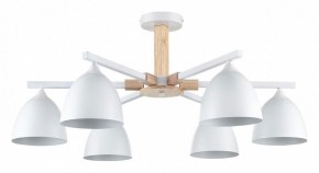 Люстра на штанге Lumion Colange 8095/6C в Александровском - alexsandrovskoe.mebel24.online | фото