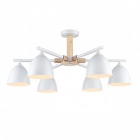 Люстра на штанге Lumion Colange 8095/6C в Александровском - alexsandrovskoe.mebel24.online | фото 2