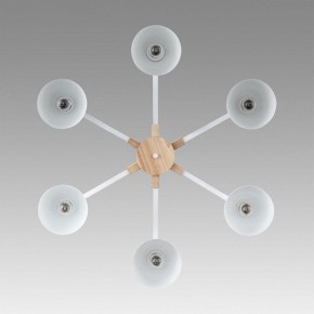 Люстра на штанге Lumion Colange 8095/6C в Александровском - alexsandrovskoe.mebel24.online | фото 4