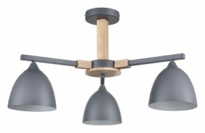 Люстра на штанге Lumion Colange 8096/3C в Александровском - alexsandrovskoe.mebel24.online | фото