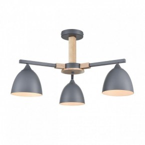 Люстра на штанге Lumion Colange 8096/3C в Александровском - alexsandrovskoe.mebel24.online | фото 2
