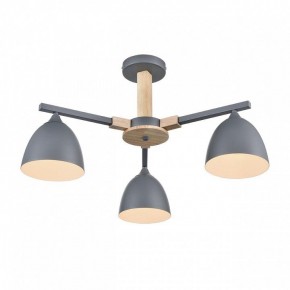 Люстра на штанге Lumion Colange 8096/3C в Александровском - alexsandrovskoe.mebel24.online | фото 3