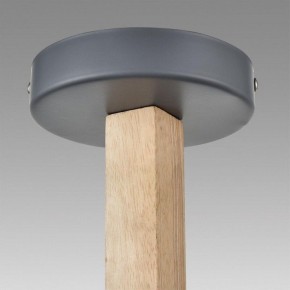 Люстра на штанге Lumion Colange 8096/3C в Александровском - alexsandrovskoe.mebel24.online | фото 9